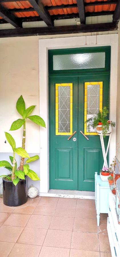 Home & Flower 3 Funchal  Luaran gambar